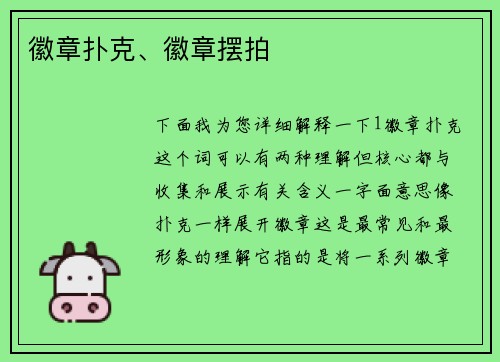 徽章扑克、徽章摆拍